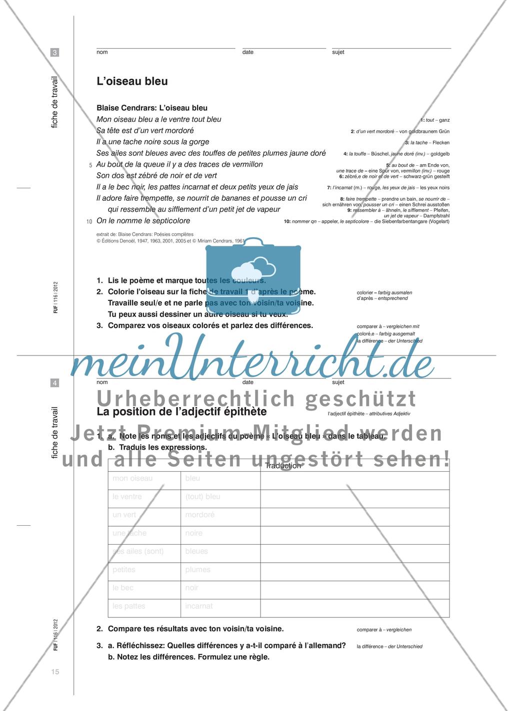 Ein bunter Vogel - Das attributive Adjektiv kooperativ erarbeiten Preview 5
