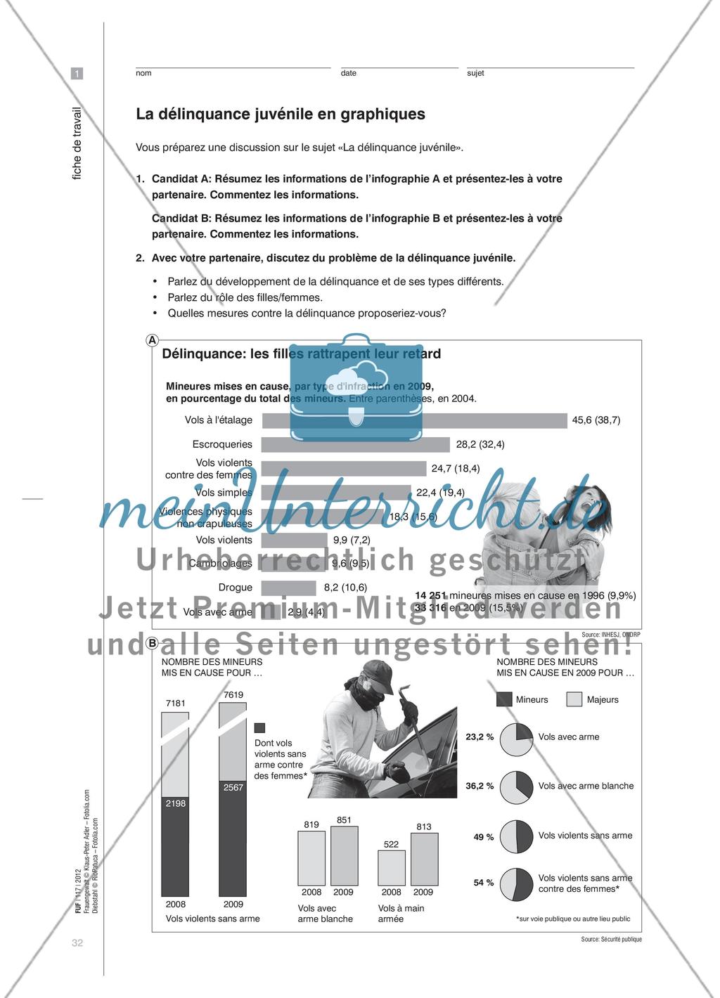 Comment analyser un camembert? - Infografiken in mündlichen Prüfungen beschreiben und auswerten Preview 5