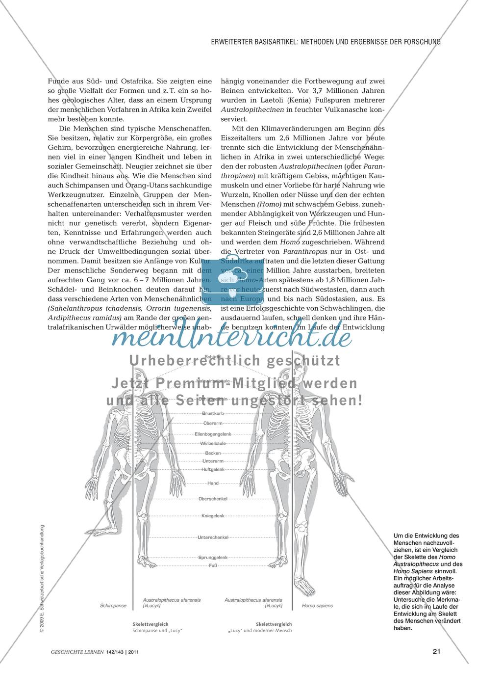 Die menschliche Evolution aus fachwissenschaftlicher Perspektive Preview 2