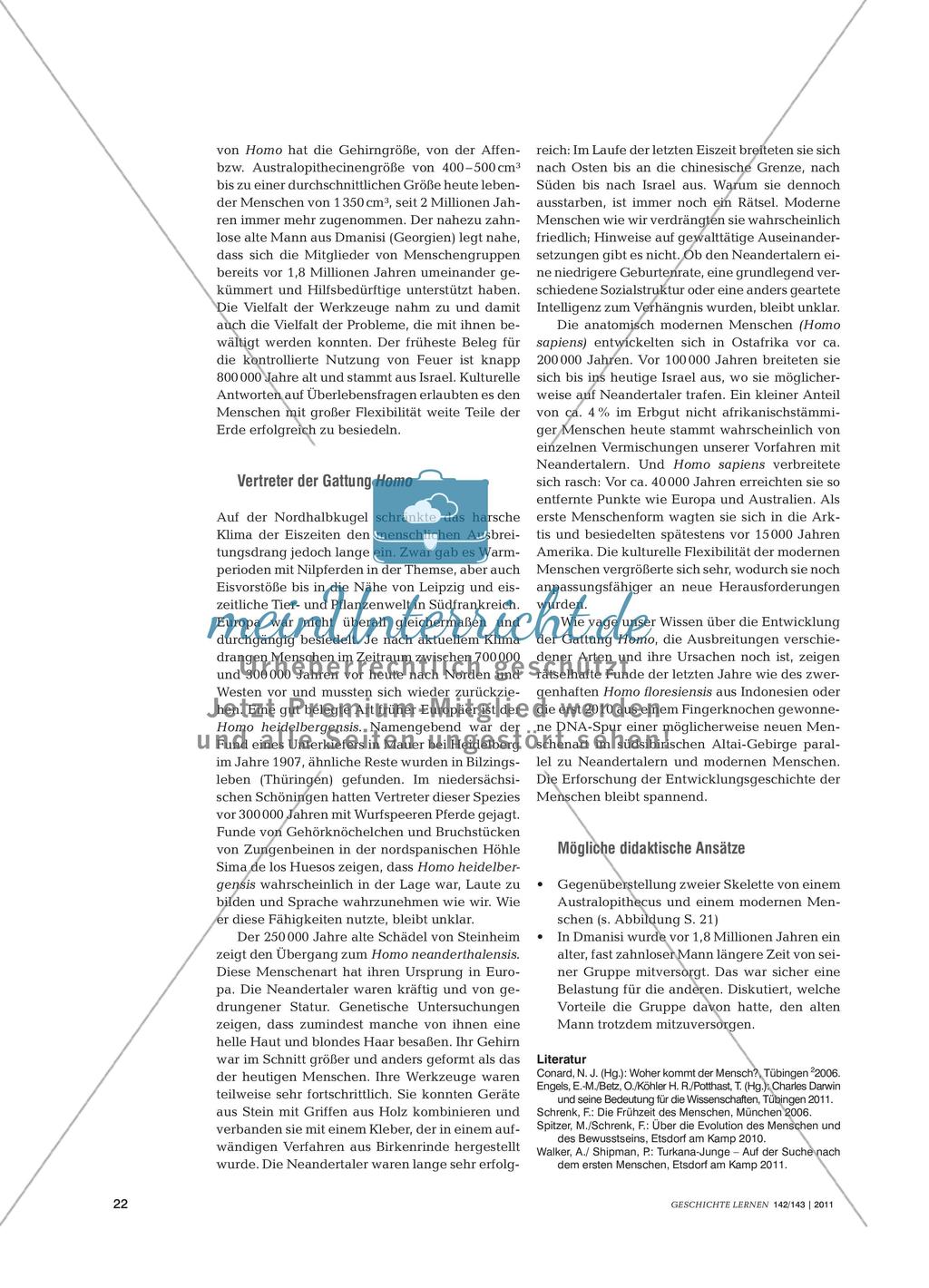 Die menschliche Evolution aus fachwissenschaftlicher Perspektive Preview 3