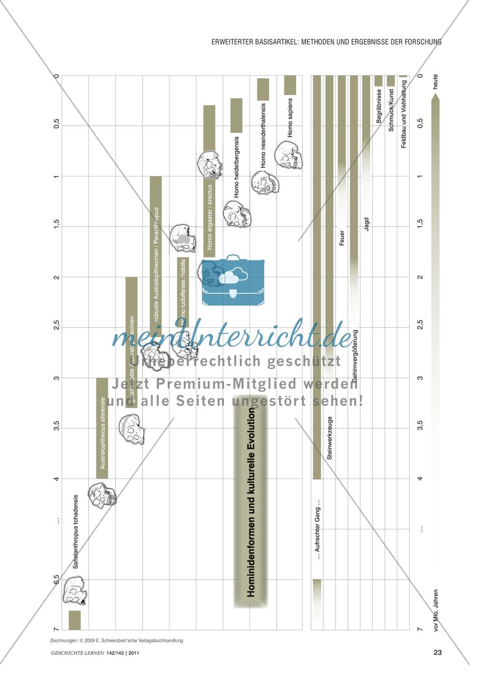 Die menschliche Evolution aus fachwissenschaftlicher Perspektive Preview 4