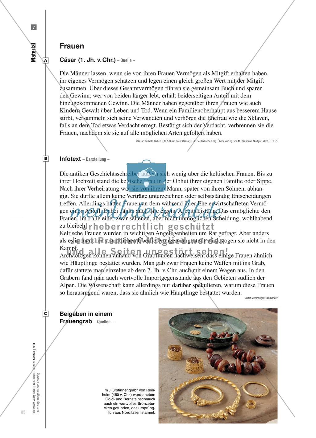 Die keltische Gesellschaft in antiken Darstellungen und archäologischen Befunden Preview 10