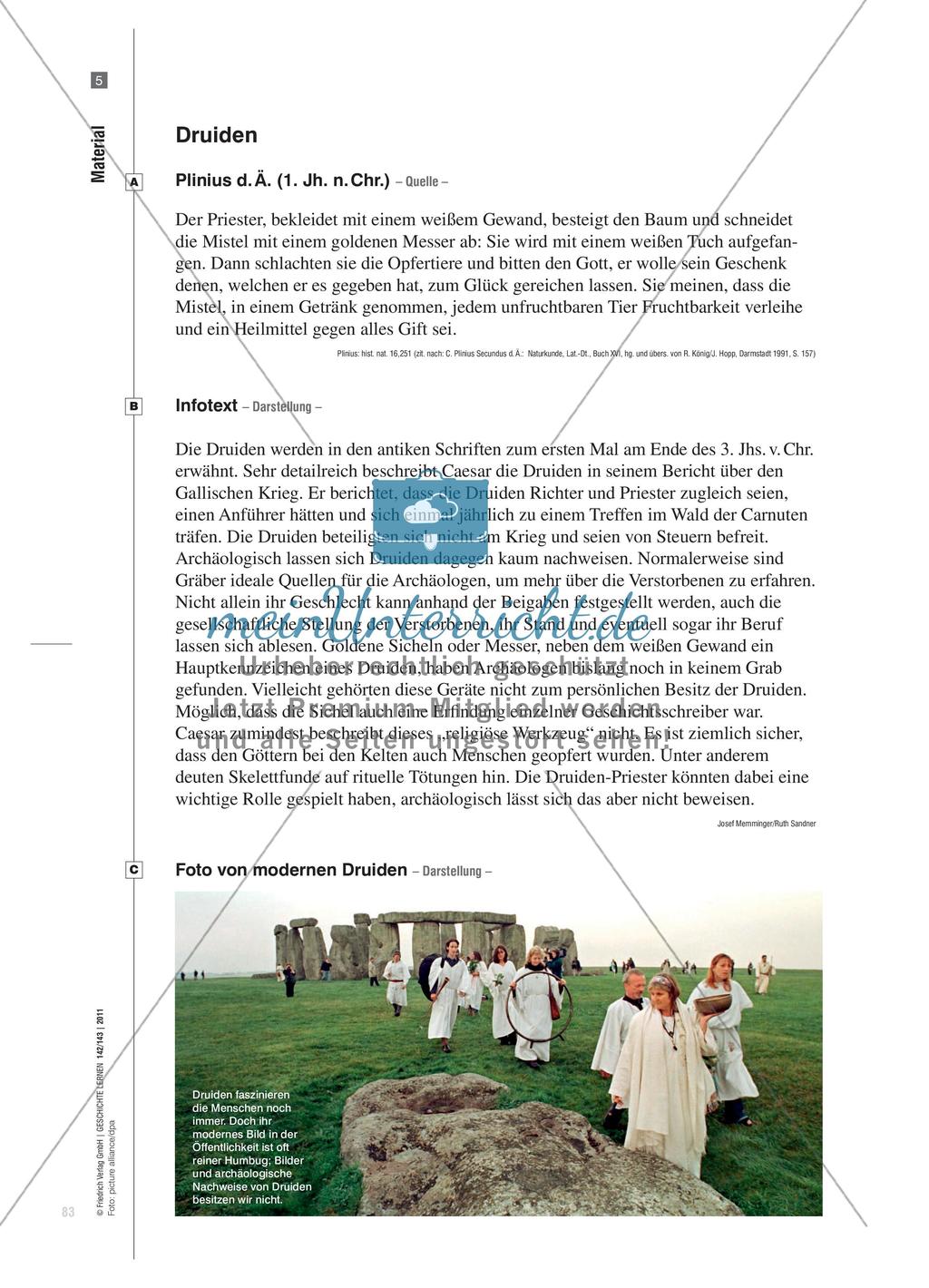 Die keltische Gesellschaft in antiken Darstellungen und archäologischen Befunden Preview 8