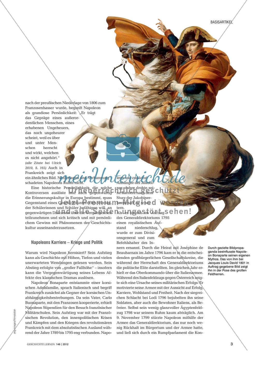 Fachwissenschaftliche Informationen über Napoleon Preview 2