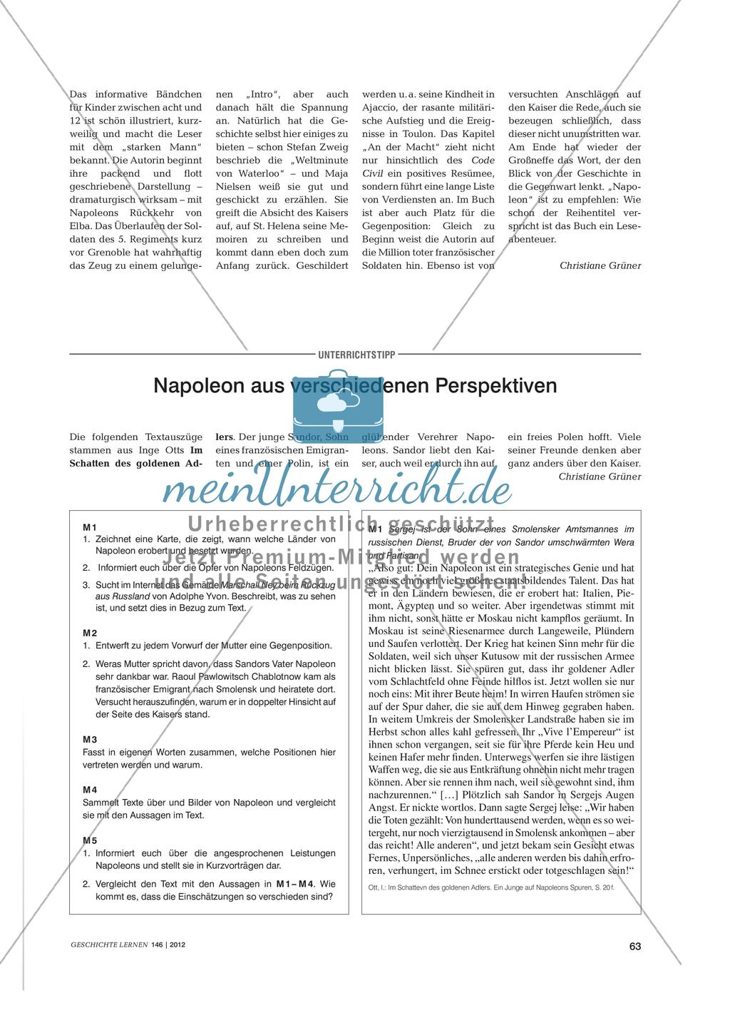Napoleon aus verschiedenen Perspektiven Preview 1