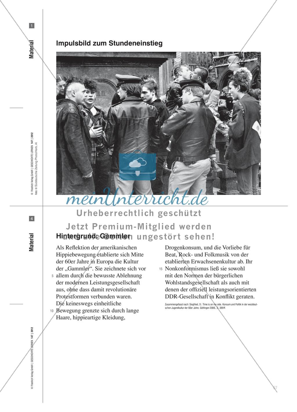 Jugend und Gesellschaft in der BRD und der DDR: Arbeit mit einem Unterrichtsfilm Preview 4