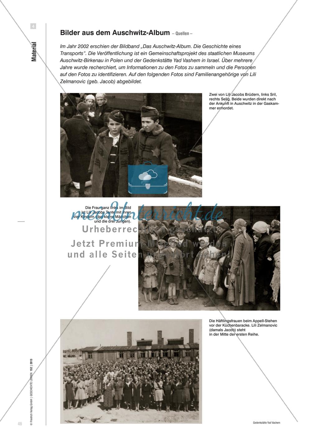 Dimensionen von Zeugnissen und Zeugenschaft: Überlebende des Holocaust als Zeugen vor Gericht Preview 7