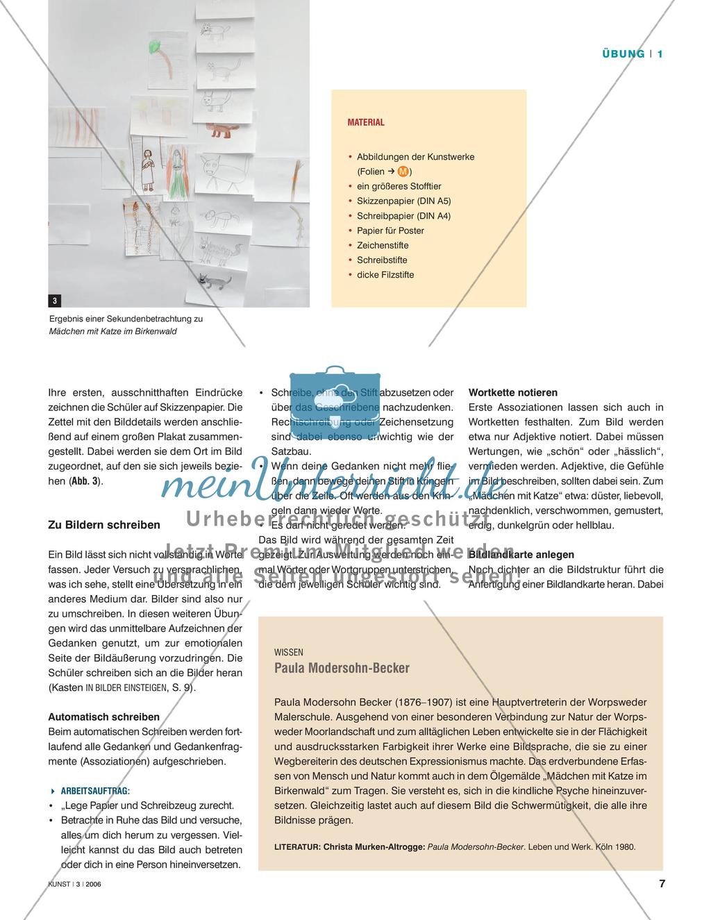 Gefühlsäußerungen in Bildern wahrnehmen Preview 2