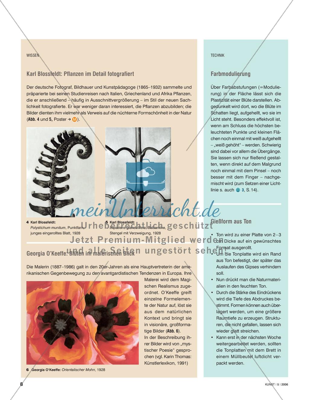 Natur im Detail wahrnehmen Preview 3