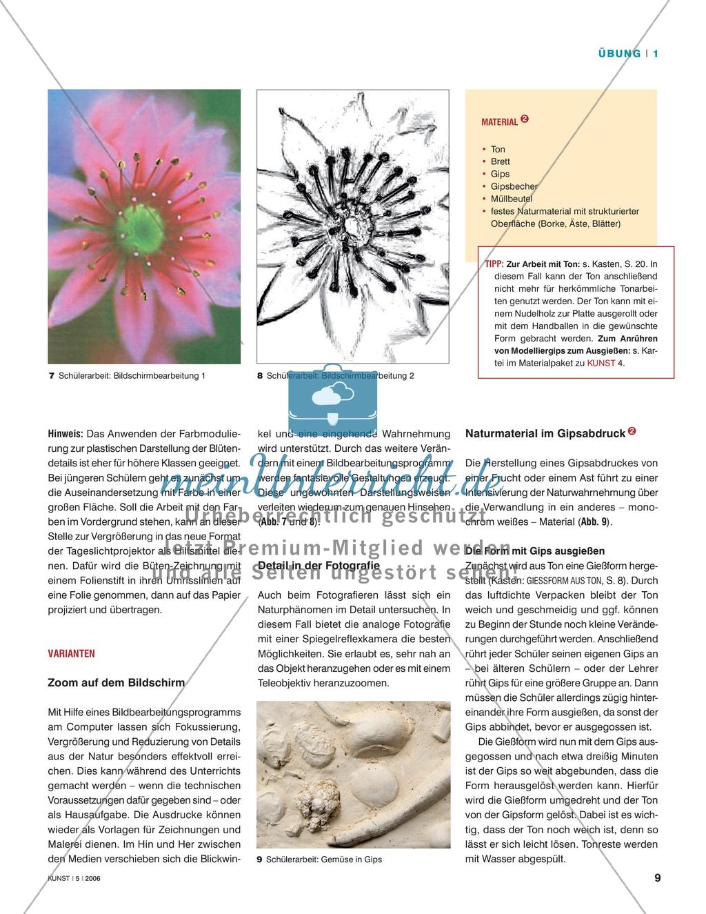 Natur im Detail wahrnehmen Preview 4