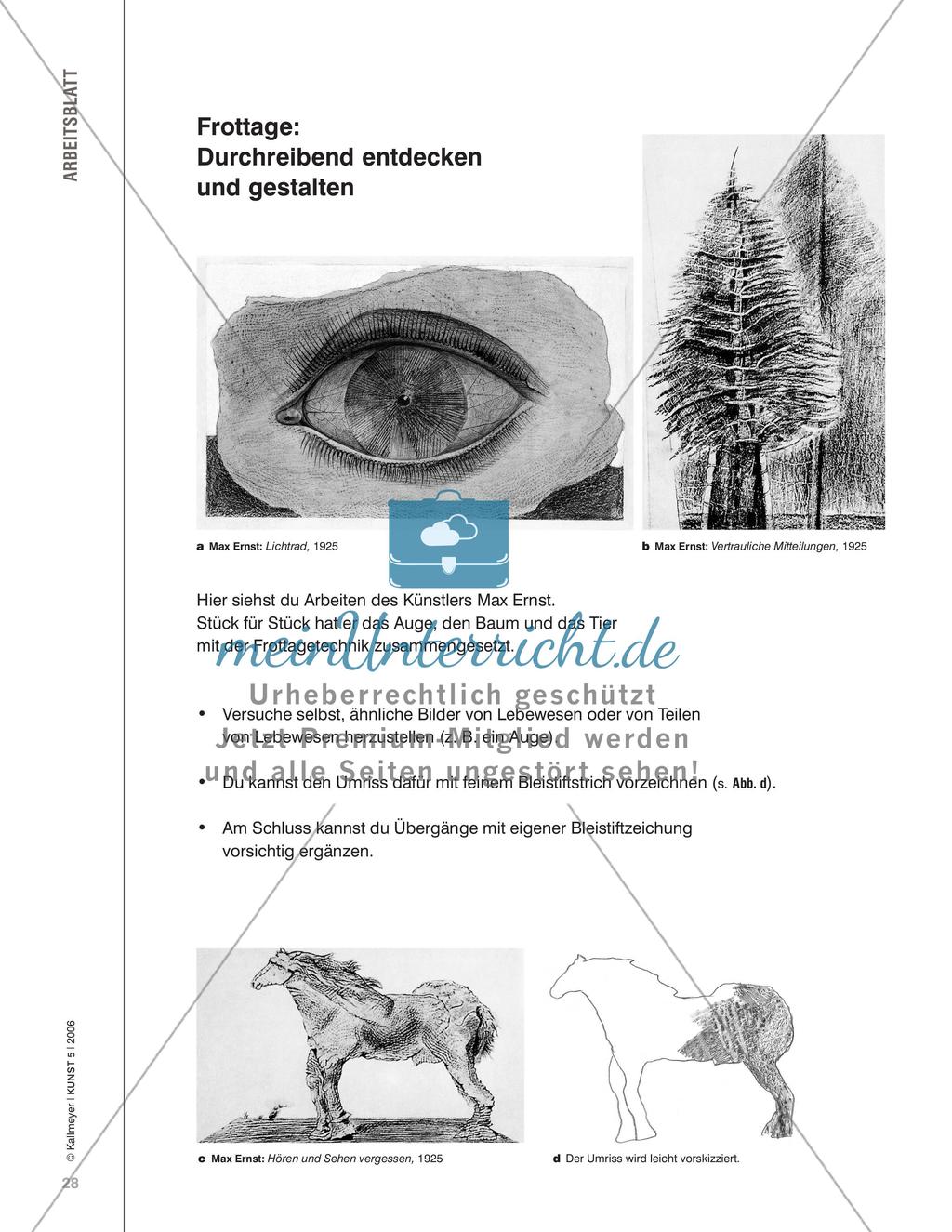 Verrückte Naturgeschichten - Surreale Wege zur Natur entdecken Preview 3