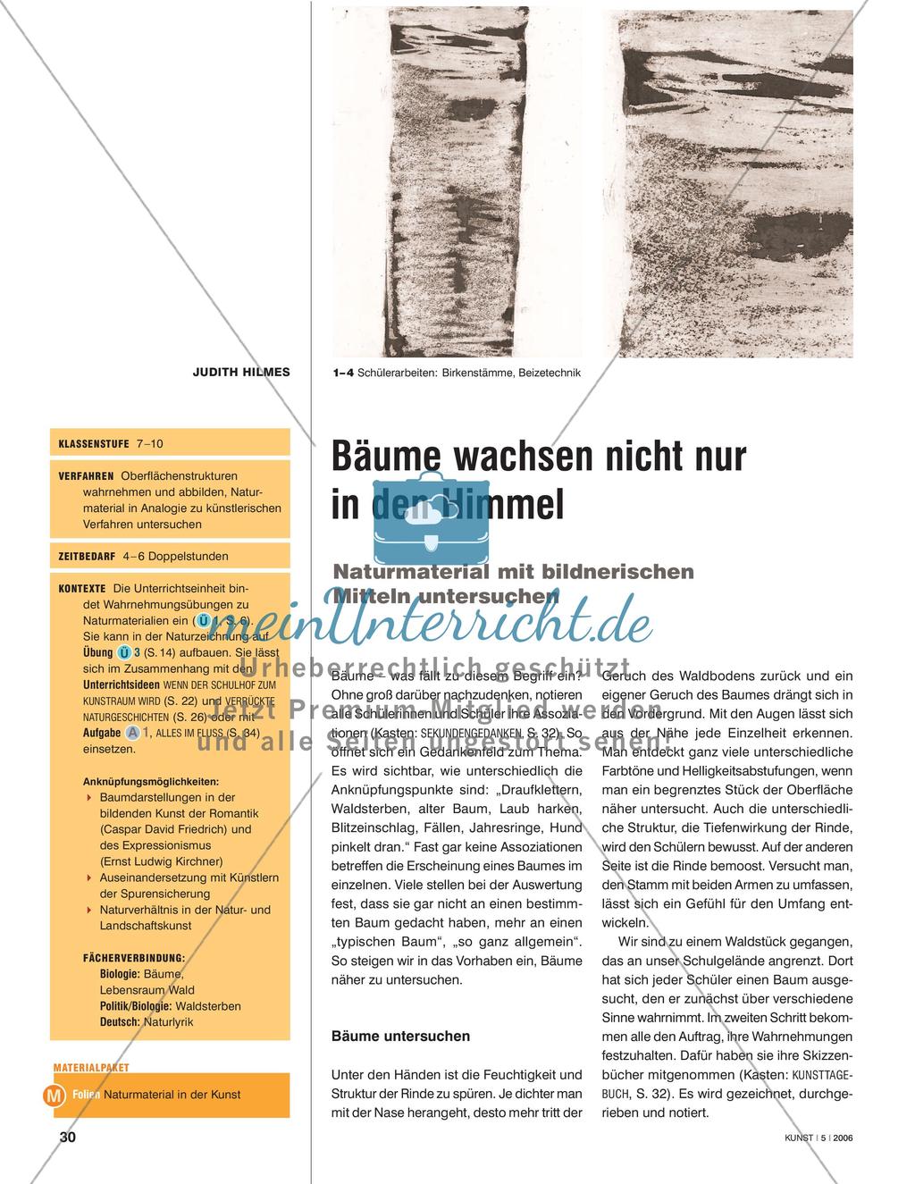 Bäume wachsen nicht nur in den Himmel - Naturmaterial mit bildnerischen Mitteln untersuchen Preview 1