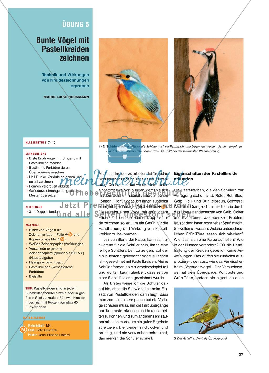 Bunte Vögel mit Pastellkreiden zeichnen - Technik und Wirkungen von Kreidezeichnungen erproben Preview 1