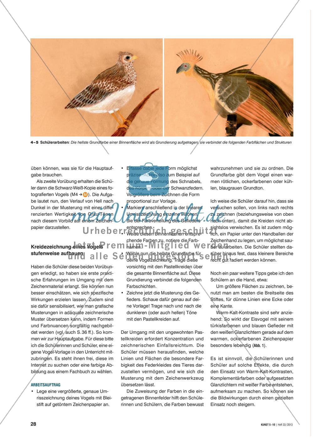 Bunte Vögel mit Pastellkreiden zeichnen - Technik und Wirkungen von Kreidezeichnungen erproben Preview 2