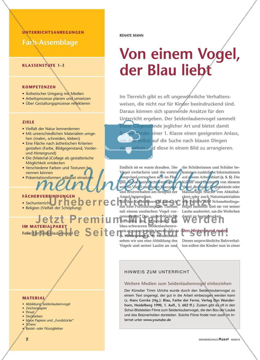 Der Seidenlaubenvogel und sein Balzverhalten Preview 1