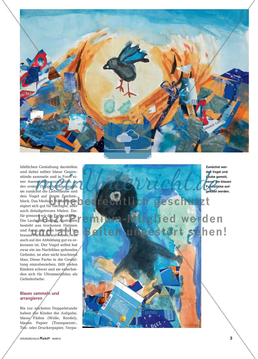 Der Seidenlaubenvogel und sein Balzverhalten Preview 2