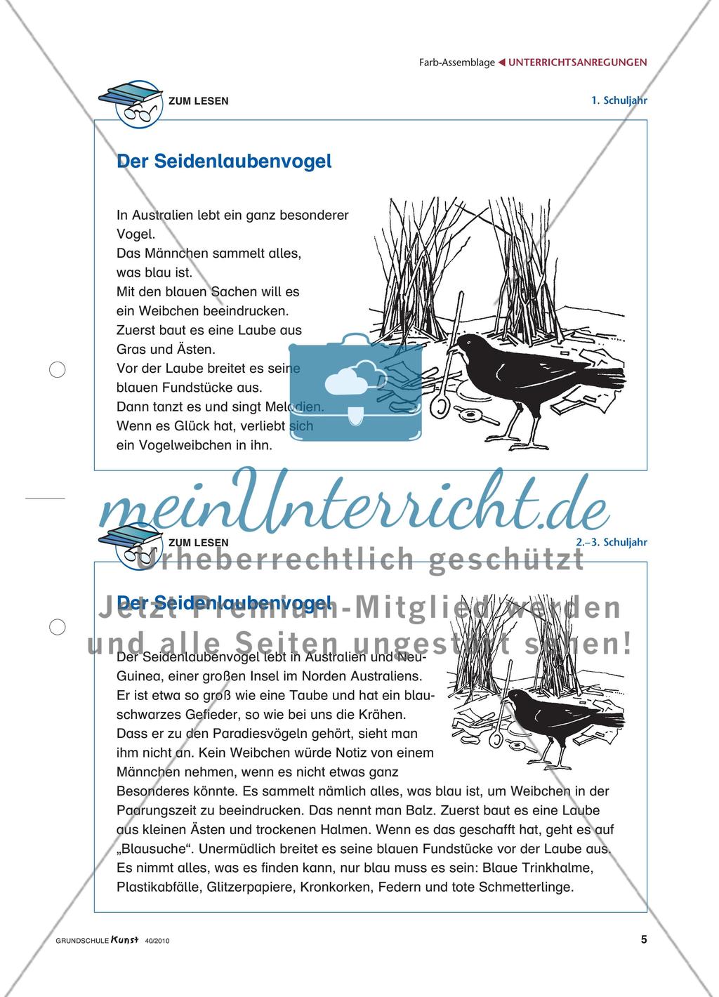 Der Seidenlaubenvogel und sein Balzverhalten Preview 4