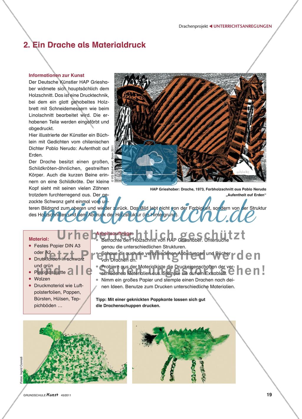 Die geheimnisvolle Welt der Drachen Preview 6