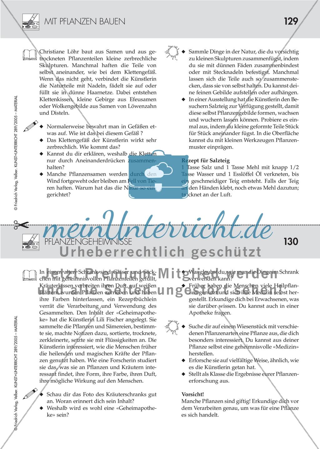 Pflanzen als Material und Konstrukt der Kunst Preview 3