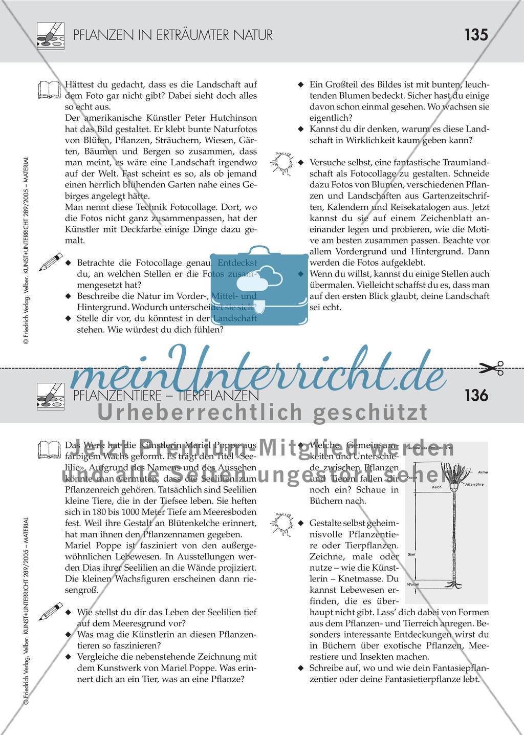 Pflanzen als Material und Konstrukt der Kunst Preview 8