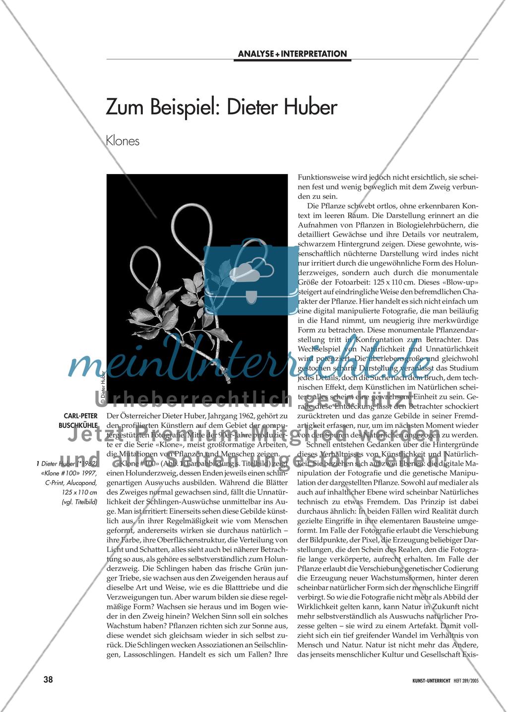 Zum Beispiel: Dieter Huber - Klones Preview 1
