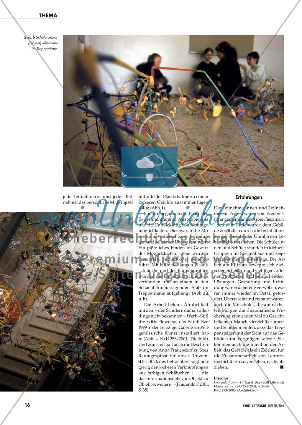 Unkalkulierbare Rhizome Preview 2