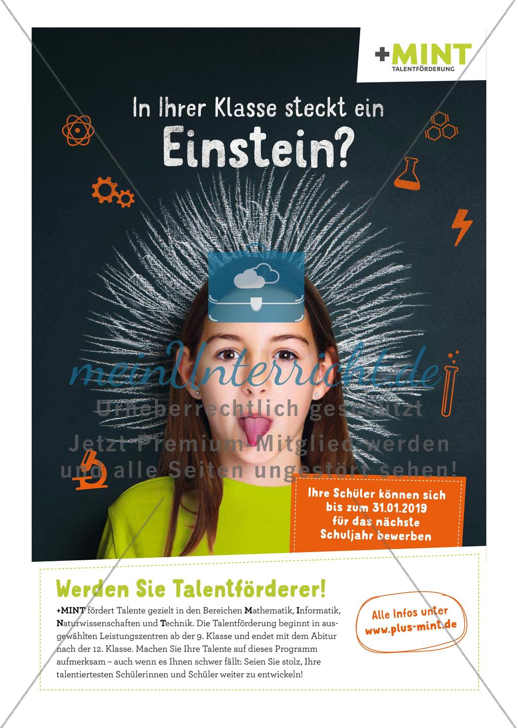 MINT Zirkel - Ausgabe 4, Dezember 2018 Preview 11