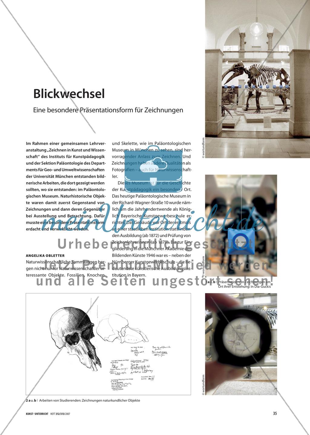 Blickwechsel - Eine besondere Präsentationsform für Zeichnungen Preview 1