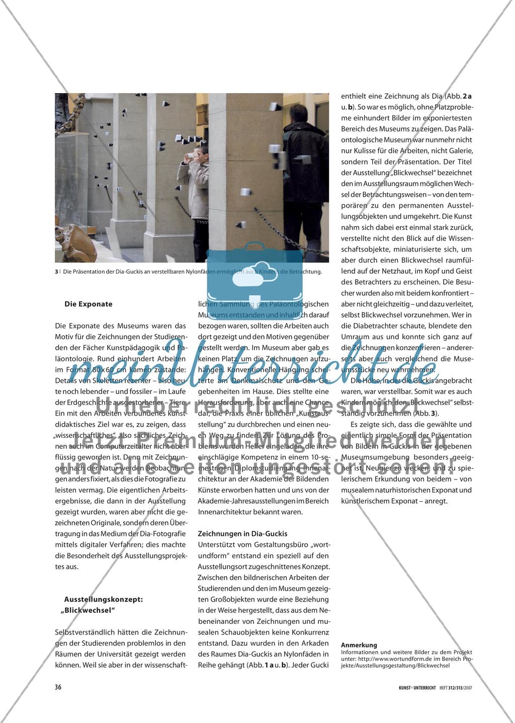 Blickwechsel - Eine besondere Präsentationsform für Zeichnungen Preview 2