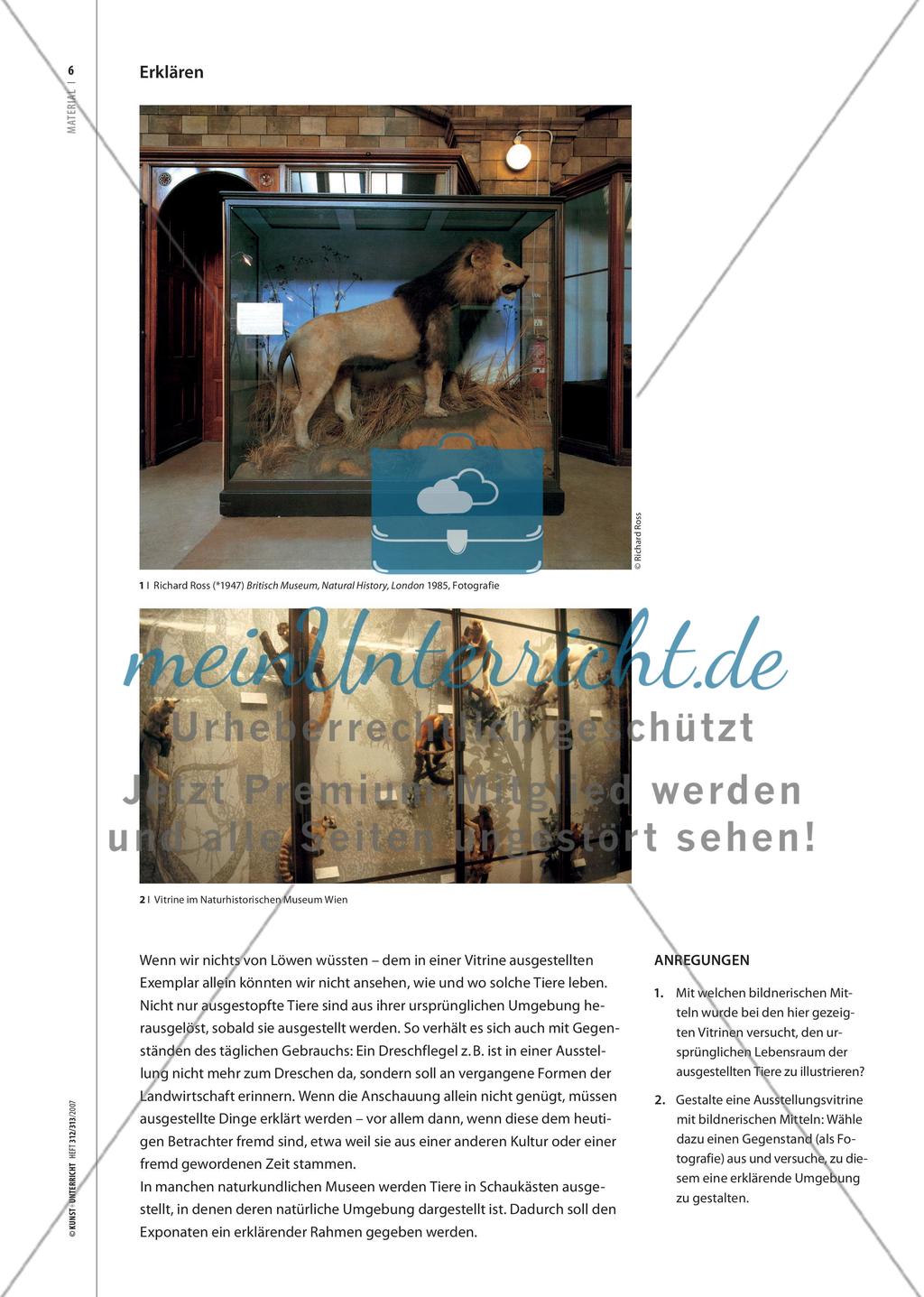 Materialteil: Ausstellungen betrachten: Hintergründe, Zusammenhänge Preview 9