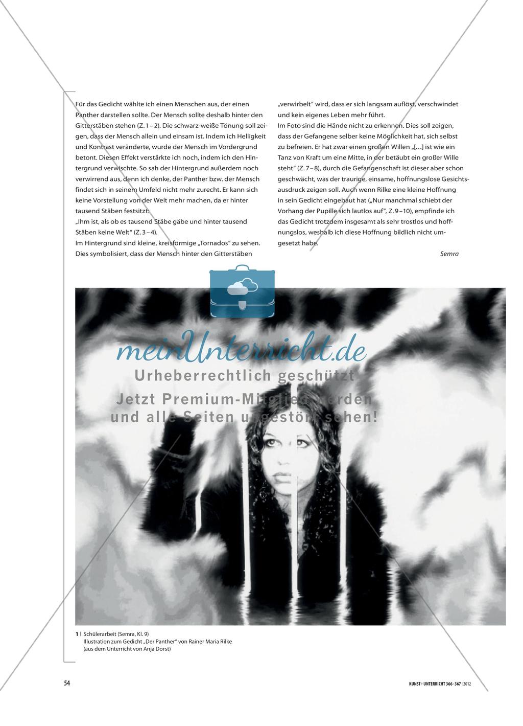 Fotografische Illustrationen - zum Gedicht „Der Panther“ von Rainer Maria Rilke Preview 3