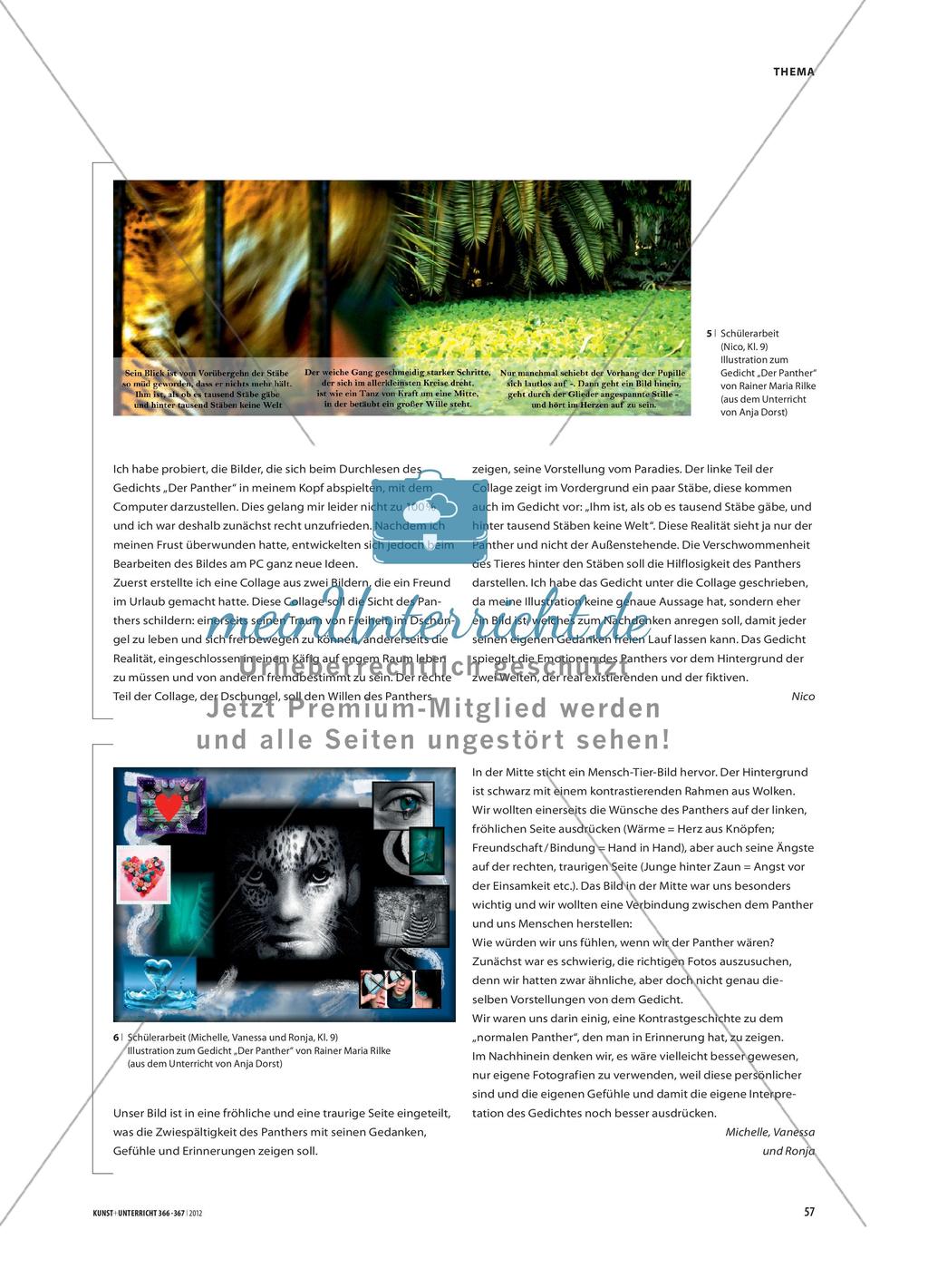 Fotografische Illustrationen - zum Gedicht „Der Panther“ von Rainer Maria Rilke Preview 6
