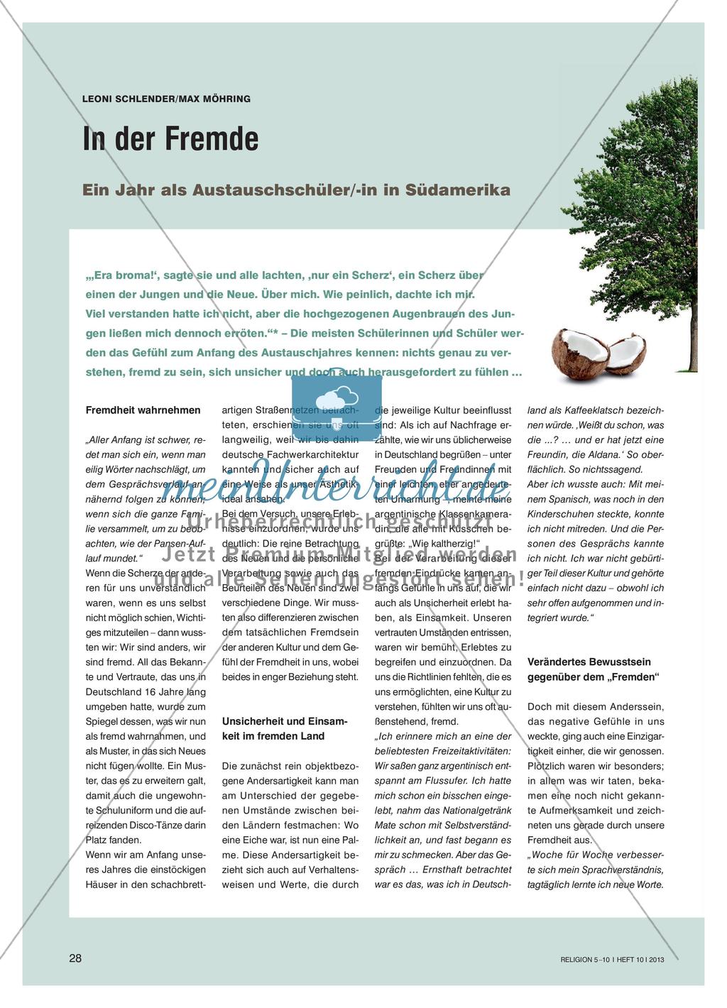 In der Fremde - Ein Jahr als Austauschschüler/-in in Südamerika Preview 1