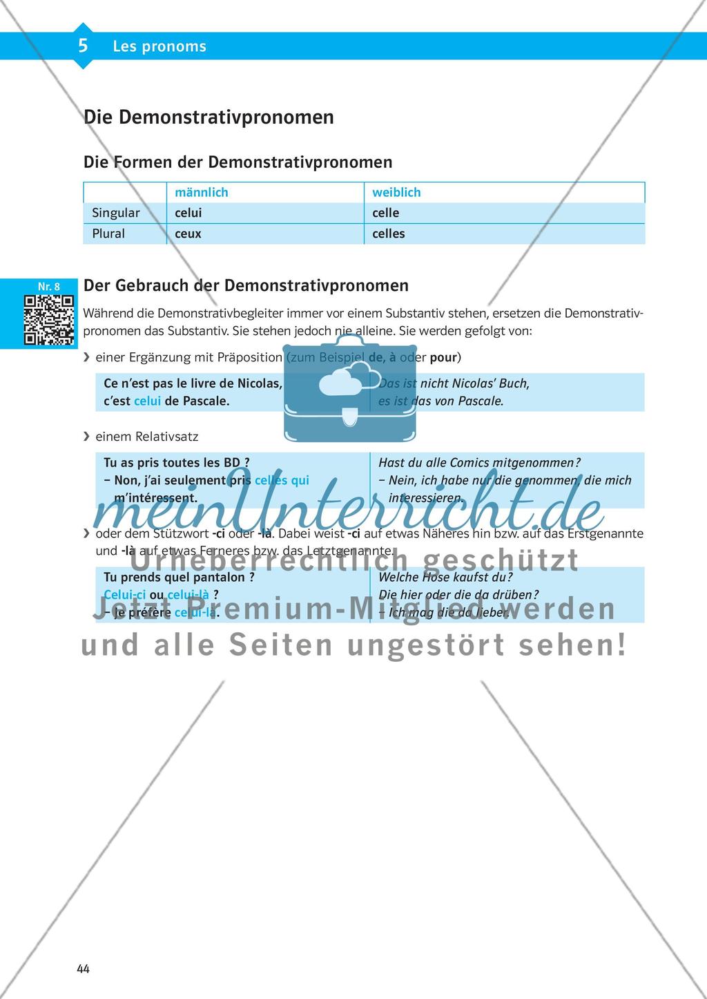 Die Pronomen Preview 13