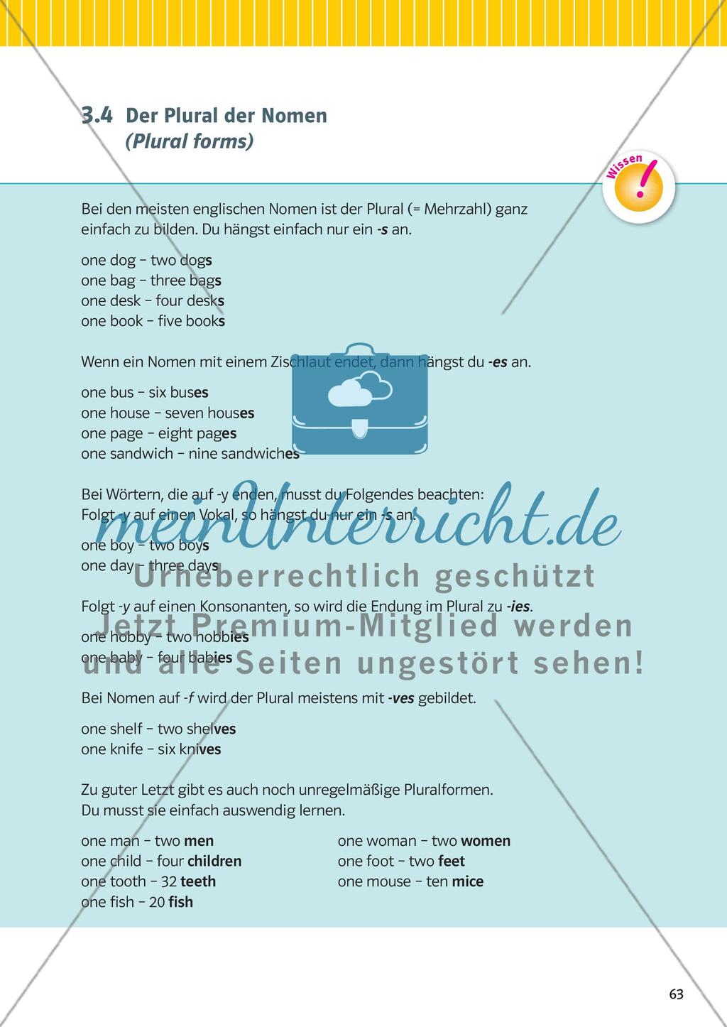 Nomen, Pronomen und Begleiter Preview 10