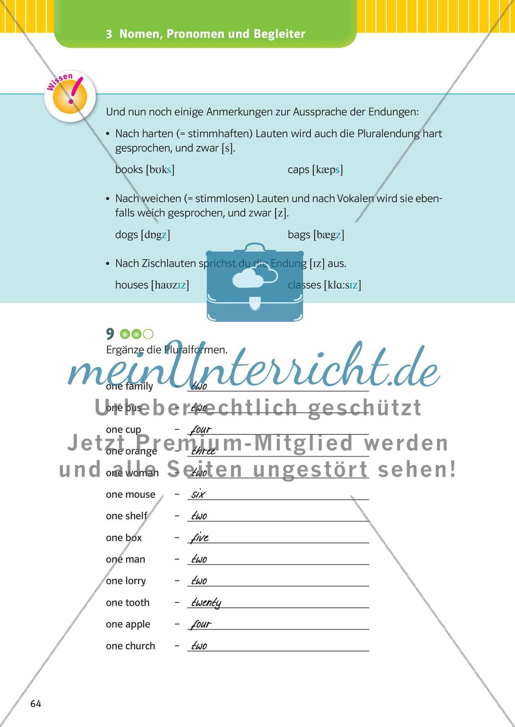 Nomen, Pronomen und Begleiter Preview 11