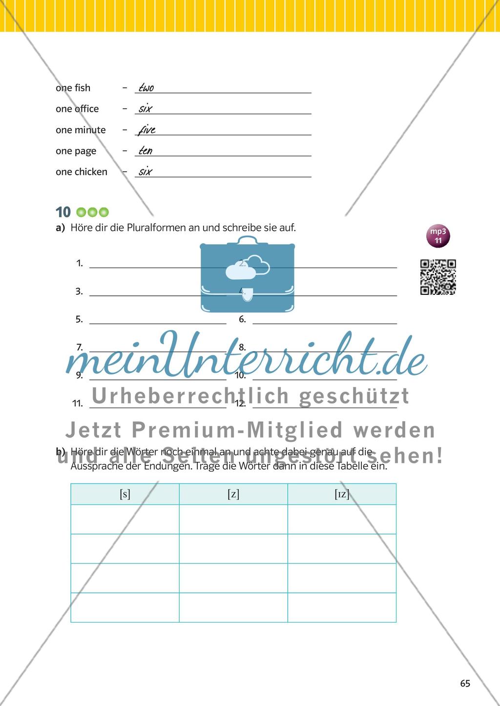 Nomen, Pronomen und Begleiter Preview 12