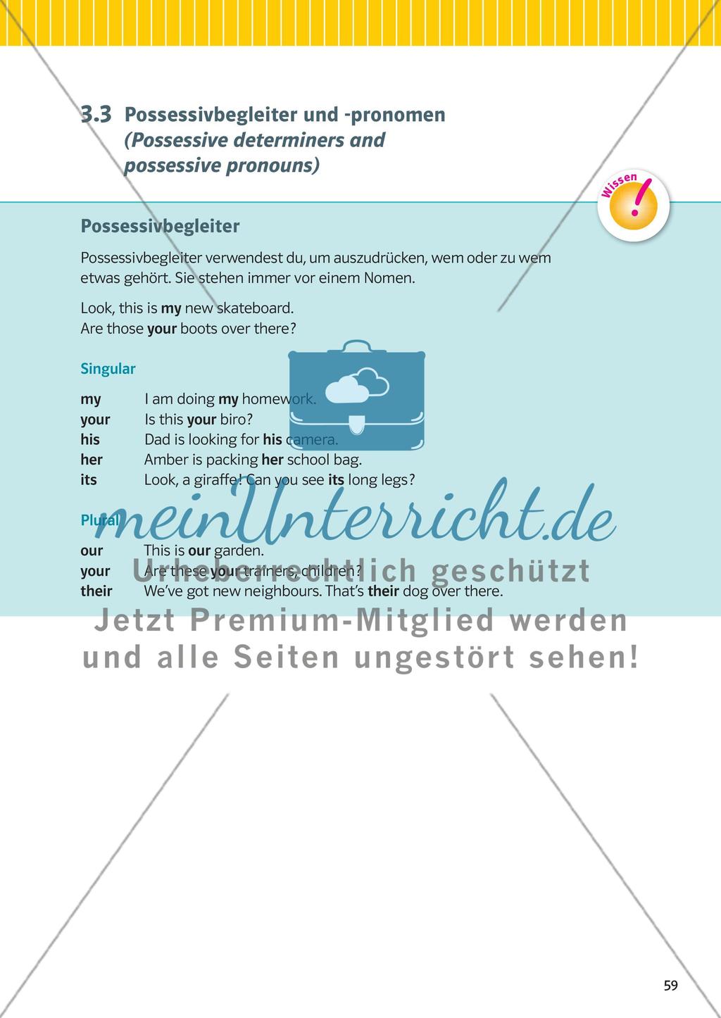 Nomen, Pronomen und Begleiter Preview 6