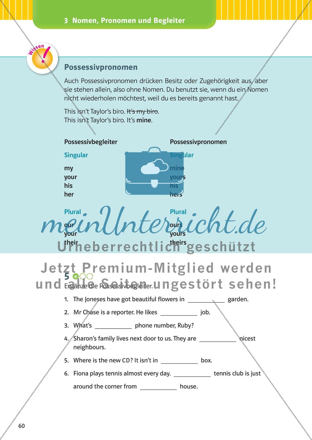 Nomen, Pronomen und Begleiter Preview 7