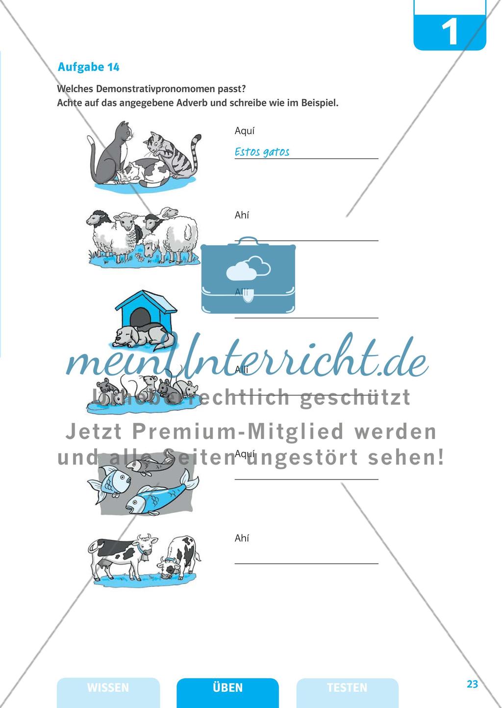 Substantive, Artikel und Pronomen Preview 16