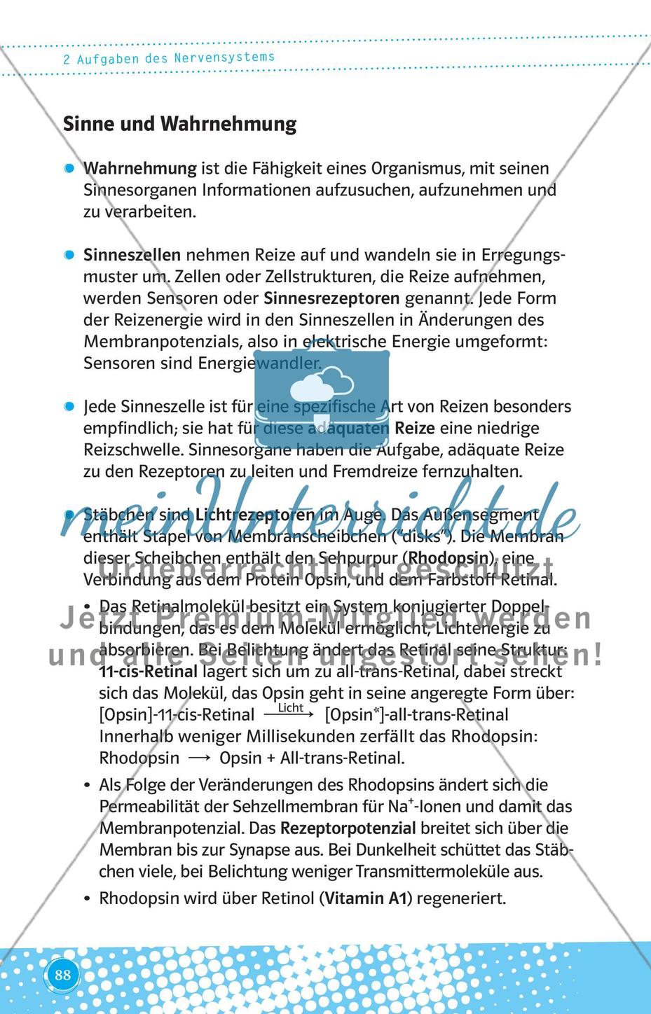 Aufgaben des Nervensystems Preview 1