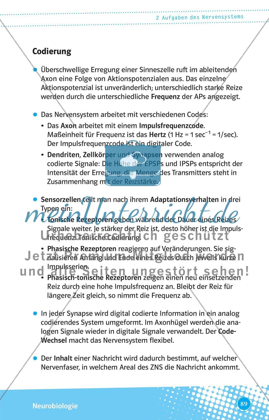 Aufgaben des Nervensystems Preview 2