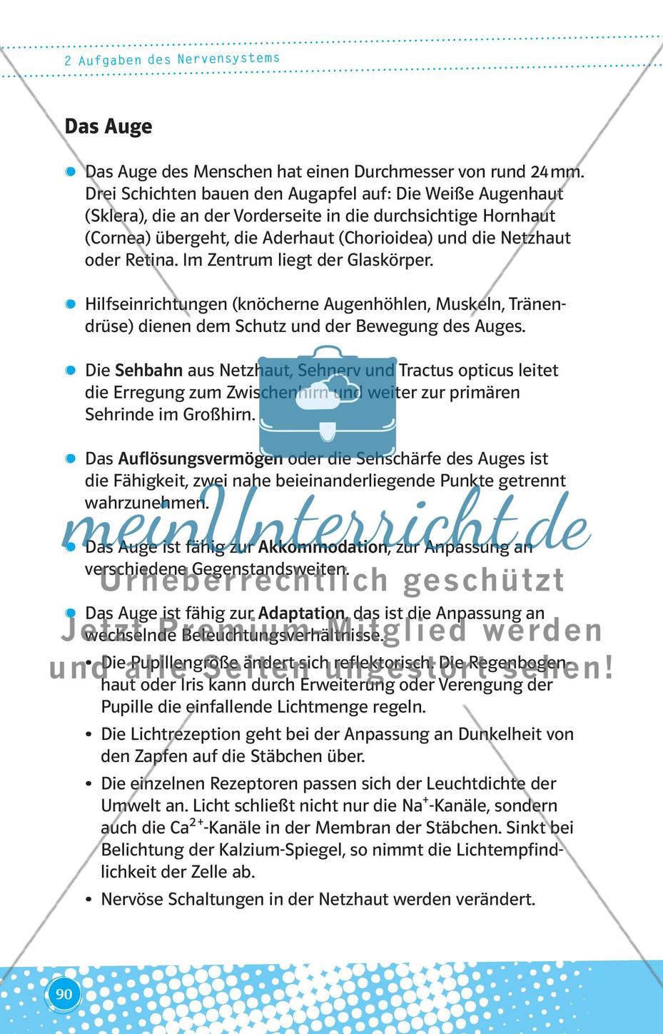 Aufgaben des Nervensystems Preview 3