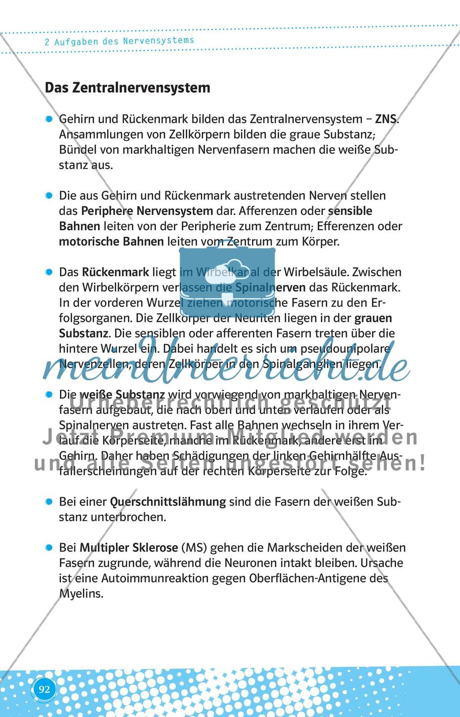 Aufgaben des Nervensystems Preview 5