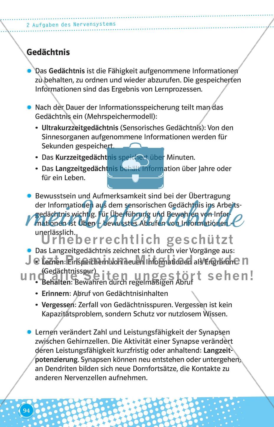 Aufgaben des Nervensystems Preview 7