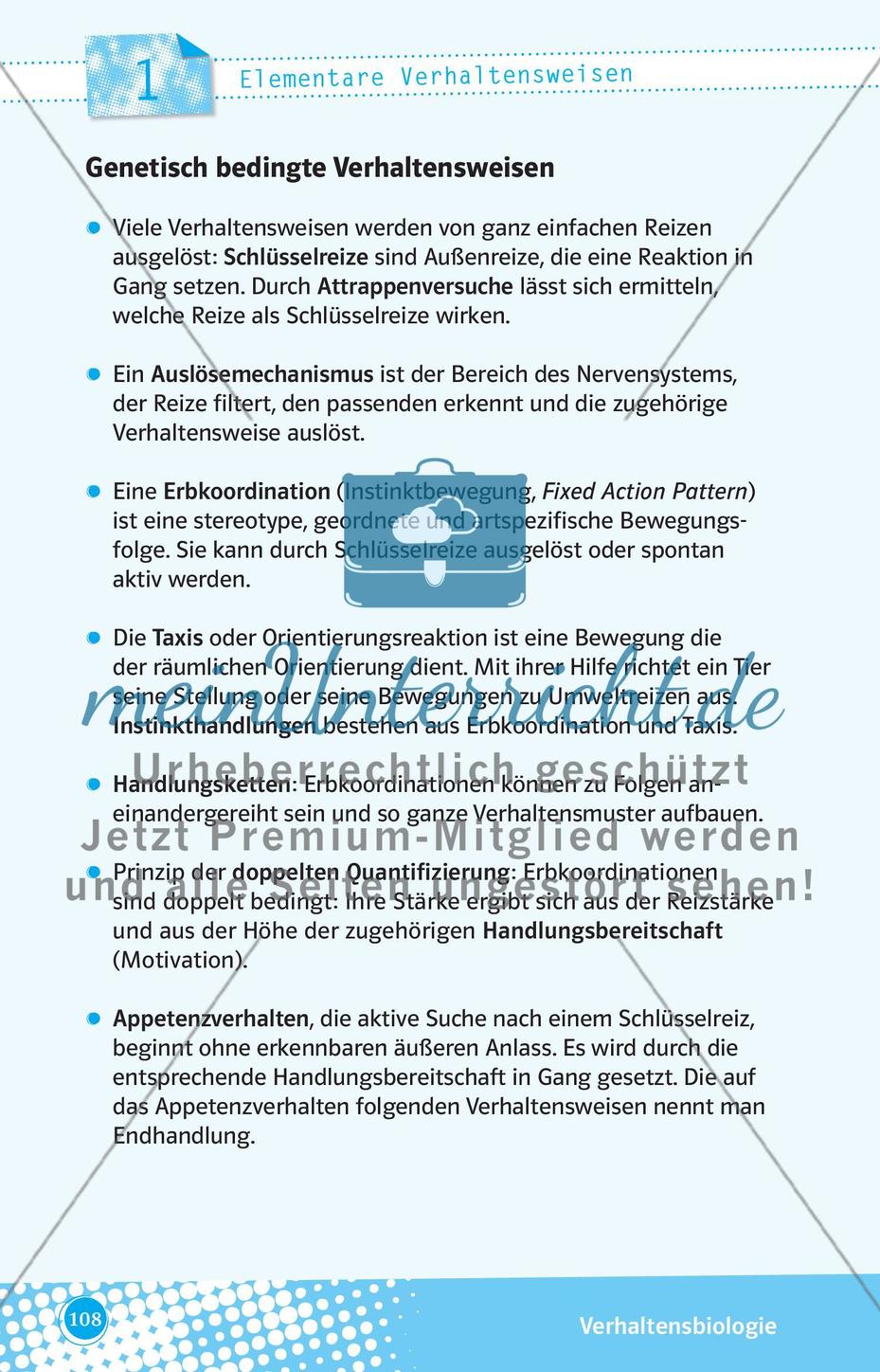 Elementare Verhaltensweisen Preview 1