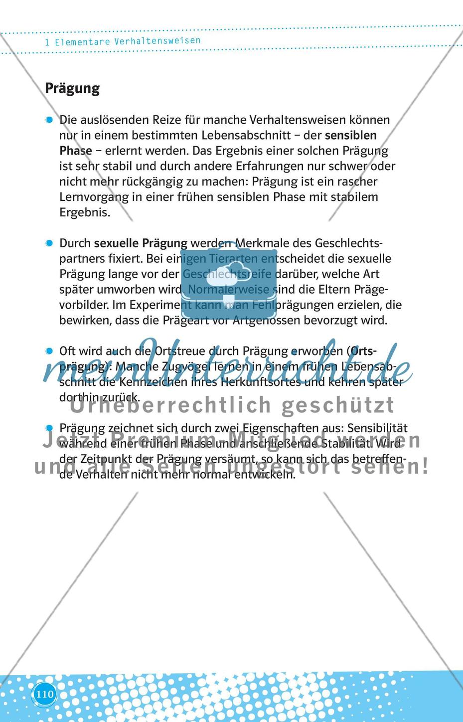 Elementare Verhaltensweisen Preview 3