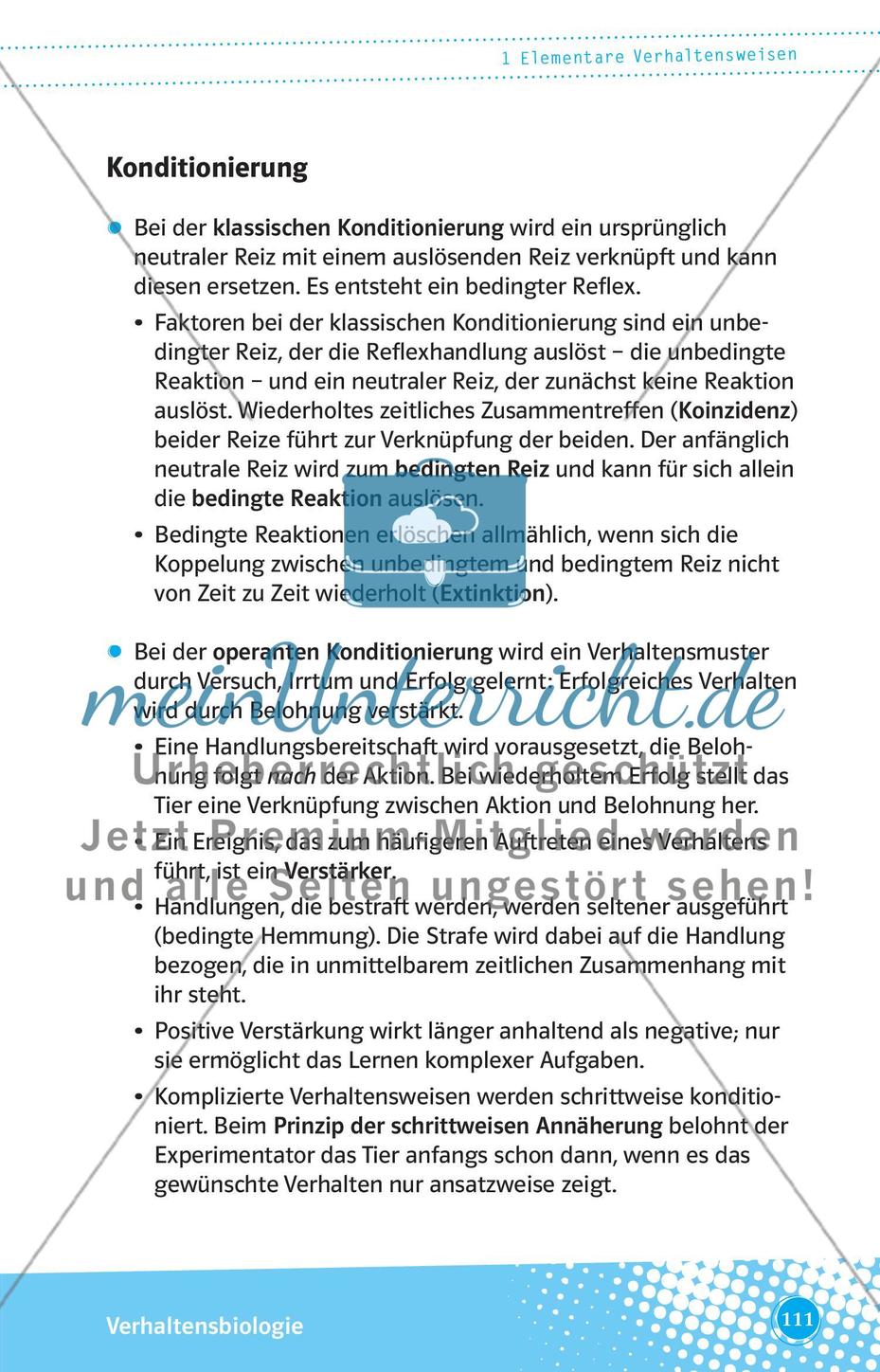 Elementare Verhaltensweisen Preview 4