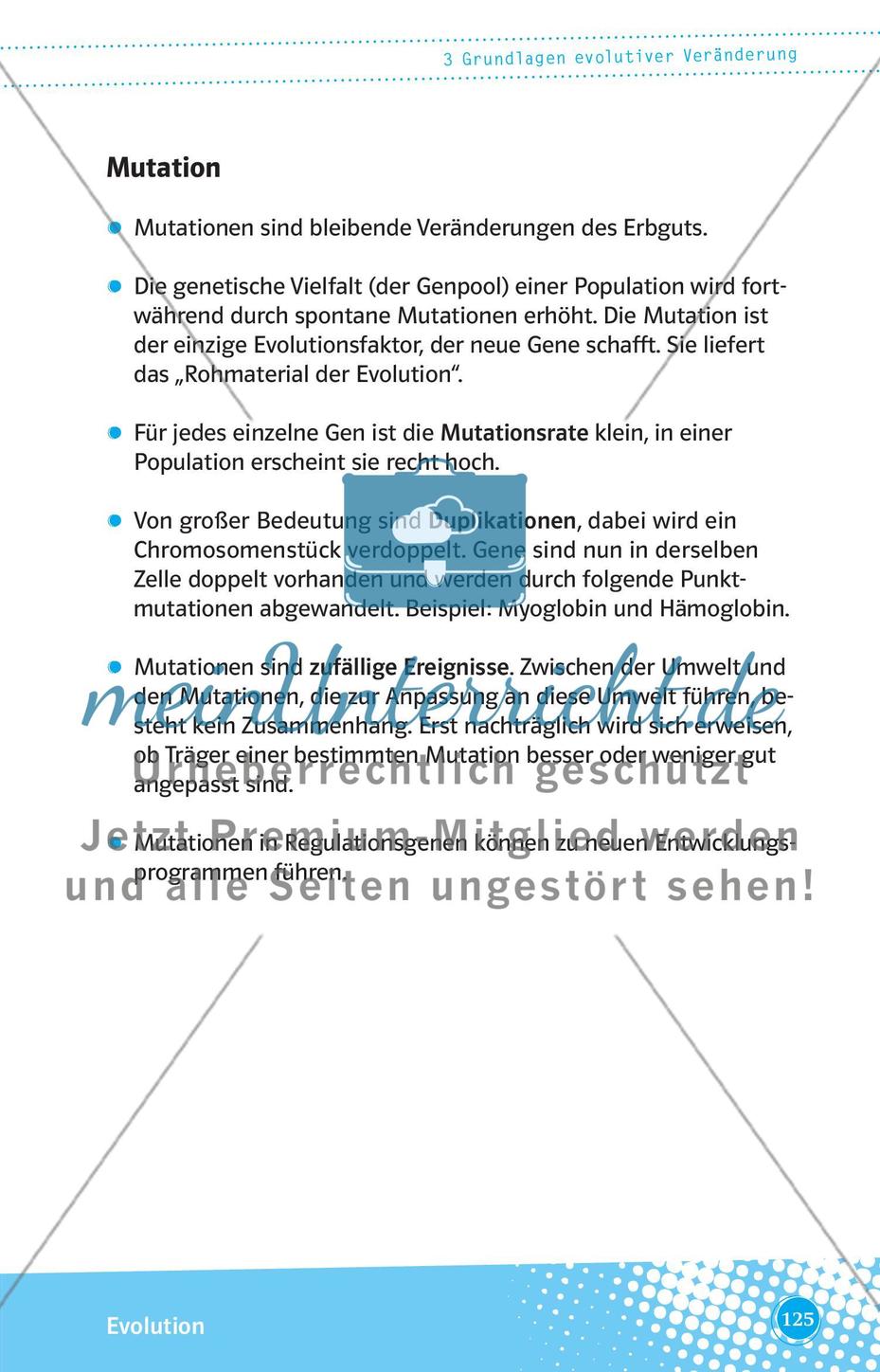 Grundlagen evolutiver Veränderung Preview 2