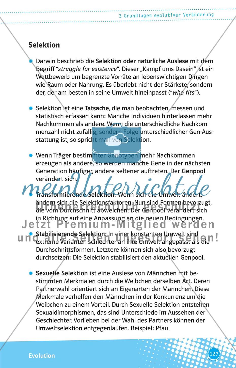 Grundlagen evolutiver Veränderung Preview 4
